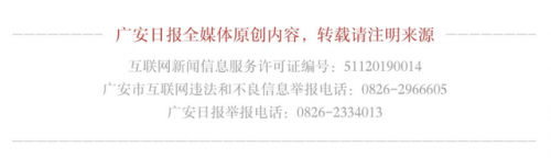 广安重要企业排名前十(广安市十大国企)插图