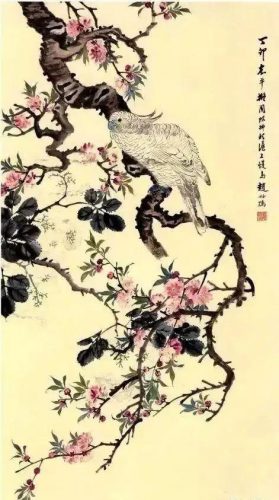 鹦鹉荔枝品种排名前十(最聪明的鹦鹉排名)插图11