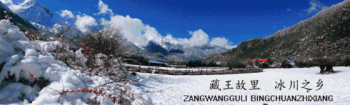 波密民间歌手排名前十(街头歌手十大排名)插图1
