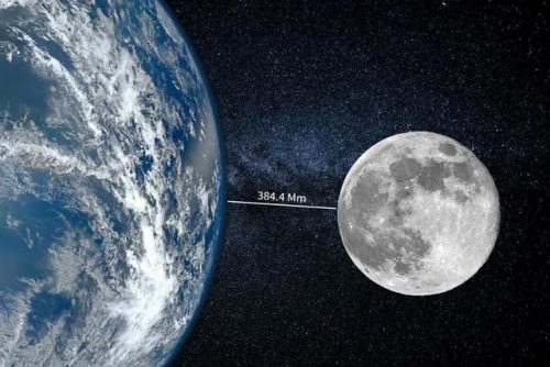 世界果皮长度排名前十(动物皮厚度排行)插图4