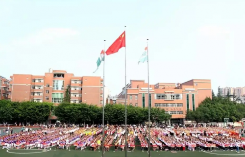 涪城小学排名前十(涪城区公立小学有哪些)插图4