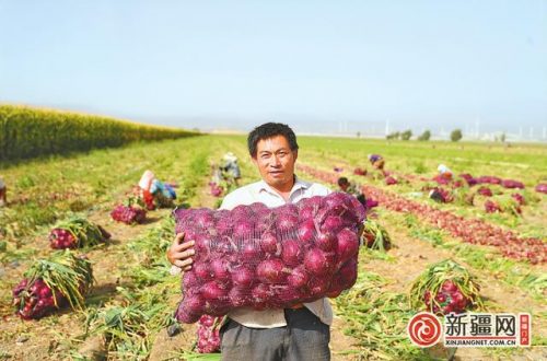 乌鲁木齐蔬菜产量排名前十(中国水果产量排名)插图2