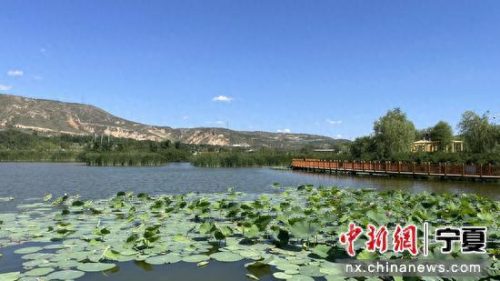 固原最美水库排名前十(固原水库景区)插图1