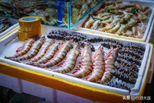 大连海鲜卖场排名前十(大连海鲜受日本辐射影响吗)插图12
