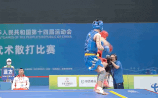 世界散打联赛排名前十(世界五大联赛)插图9