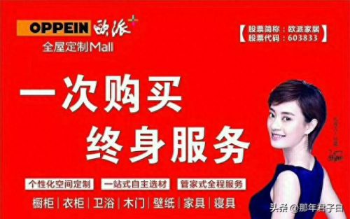 订制整体家居排名前十(晟丰整体定制家居)插图