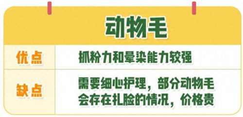 化妆刷成套排名前十(沧州化妆刷为什么有名)插图5