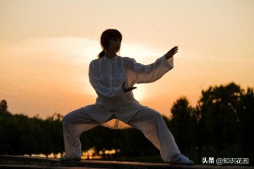 世界武术比武排名前十(全球武术排名)插图