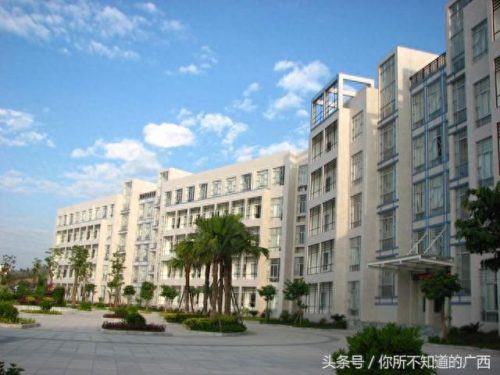 钦州顶级中学排名前十(钦州大垌鹰山中学)插图2