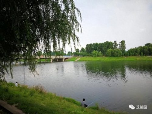 烟斗源头厂家排名前十(烟斗品牌大全介绍)插图
