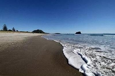 新西兰潜水公司排名前十(世界顶级潜水品牌)插图5