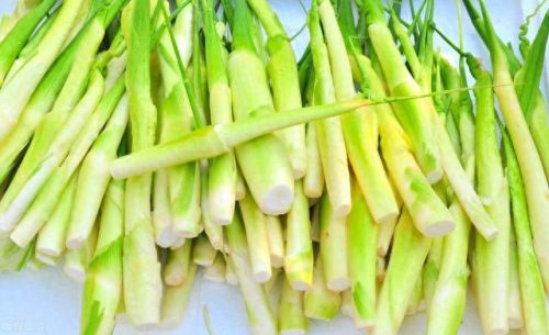 水生蔬菜各省排名前十(蔬菜含钙量排名一览表)插图