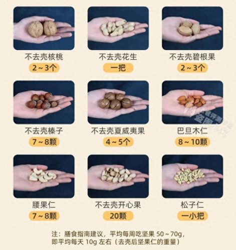 品牌新鲜坚果排名前十(十大良心坚果排名)插图11