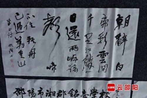 湖南最强画家排名前十(湖南画家邱松岚)插图21