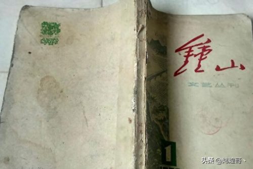 中国十大杂志排名前十(中国三大顶级杂志)插图7