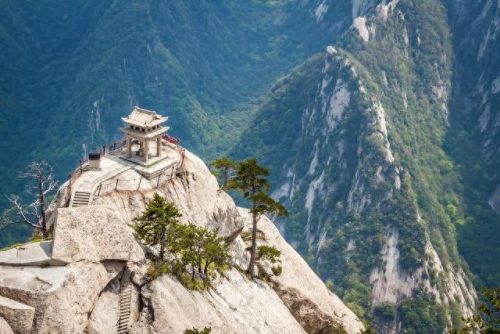 中国十大美景排名前十(中国十大名花)插图7