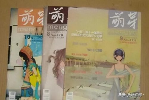 中国十大杂志排名前十(中国三大顶级杂志)插图9