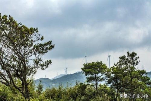 玉林收费景点排名前十(玉林免费景点)插图4