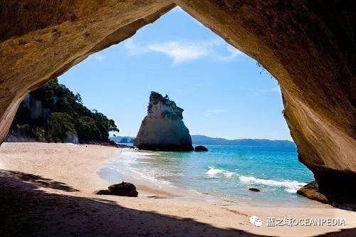 新西兰潜水公司排名前十(世界顶级潜水品牌)插图14