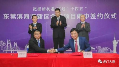 东莞外贸小学排名前十(大朗公办小学排名)插图21