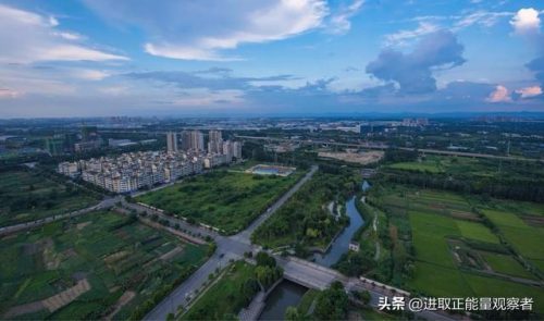 东北农业排名全国前十(东北三省农业)插图