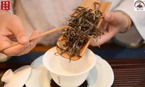 临沧的茶叶排名前十(临沧最有名的茶叶品种)插图3
