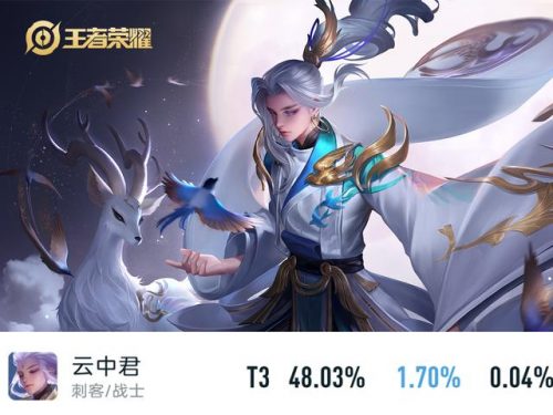冷门英雄玩家排名前十(王者荣耀冷门英雄)插图4