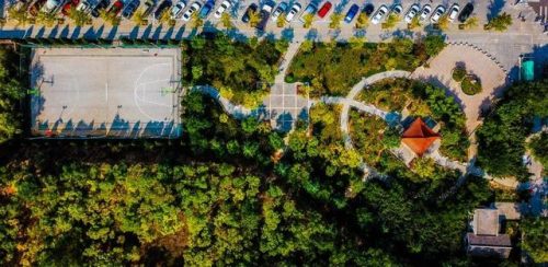 晋城绿化公司排名前十(晋城市建筑工程总公司怎么样)插图4