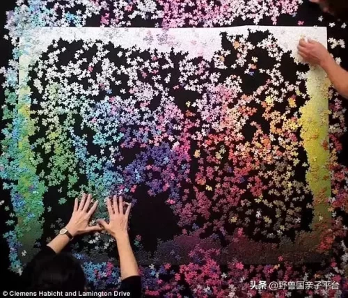 卡片拼图厂家排名前十(最著名的拼图品牌)插图8