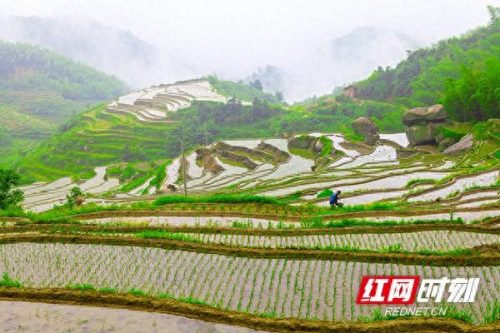 耒阳最好山峰排名前十(耒阳最穷的镇排名)插图1