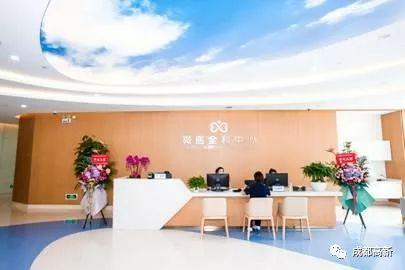 成都仓鼠商家排名前十(养仓鼠的十大危害)插图2