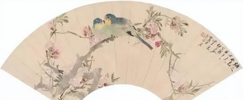 鹦鹉荔枝品种排名前十(最聪明的鹦鹉排名)插图7