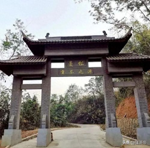 山头茶叶价格排名前十(茶叶产地排名榜前十名)插图10