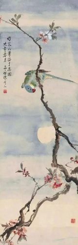 鹦鹉荔枝品种排名前十(最聪明的鹦鹉排名)插图13