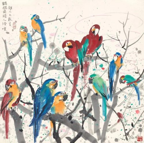 鹦鹉荔枝品种排名前十(最聪明的鹦鹉排名)插图19