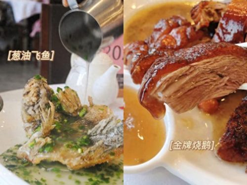 香港粤菜老牌排名前十(香港最正宗粤菜馆)插图19