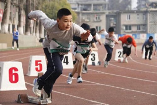 阆中的小学排名前十(阆中小学排名一览表)插图1