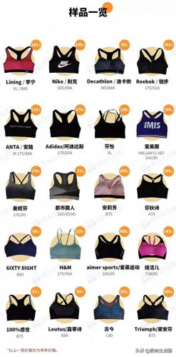 牌子内衣测评排名前十(内衣洗衣液排名第一名)插图5