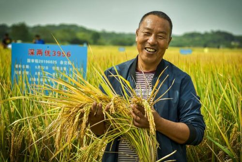 湘潭河口美食排名前十(湘潭有什么好吃的地方推荐)插图