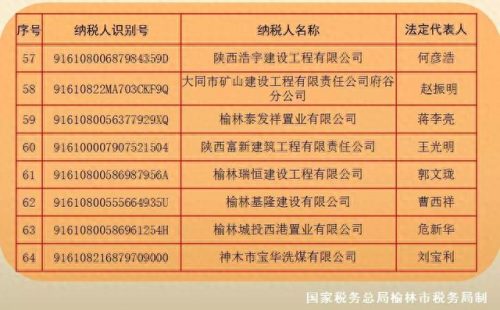 榆林企业税收排名前十(咸宁企业纳税排行)插图5