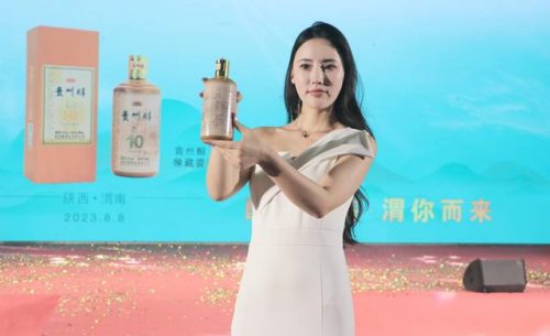 贵州砝码工厂排名前十(贵州有什么好工厂)插图13
