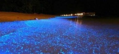 全球沙滩夜景排名前十(中国十大夜景城市)插图2