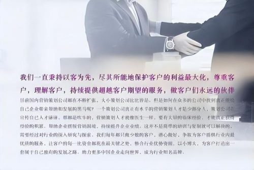 广告行销平台排名前十(互联网广告公司排名前十)插图4