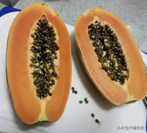广东木瓜销量排名前十(木瓜酱菜销量最大)插图1