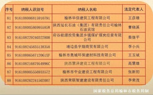 榆林企业税收排名前十(咸宁企业纳税排行)插图8