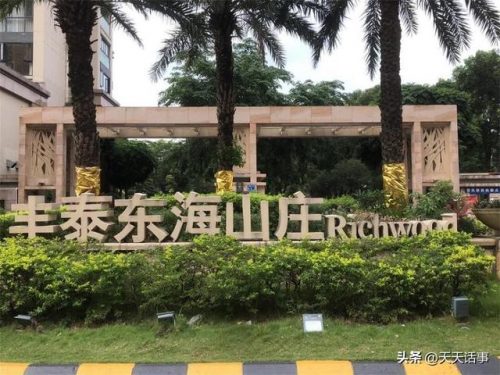 虎门别墅豪宅排名前十(东莞别墅区排名)插图