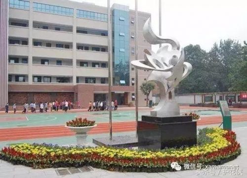 西安小学教科书排名前十(西安买学生用书在哪买)插图5