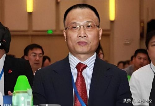 湛江未来富豪排名前十(广东首富排名湛江)插图6