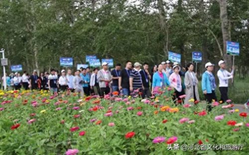 沽源民宿排名前十(沽源唯一民宿)插图4