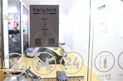成都仓鼠商家排名前十(养仓鼠的十大危害)插图23